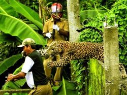Foto yang Diambil Beberapa Detik Sebelum Tragedi Terjadi
