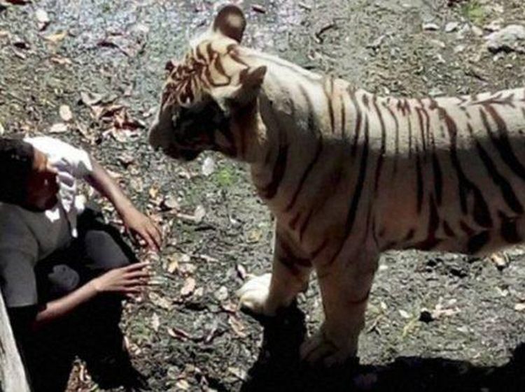 Foto Ini Merekam Momen Sebelum Tragedi Mengerikan Terjadi