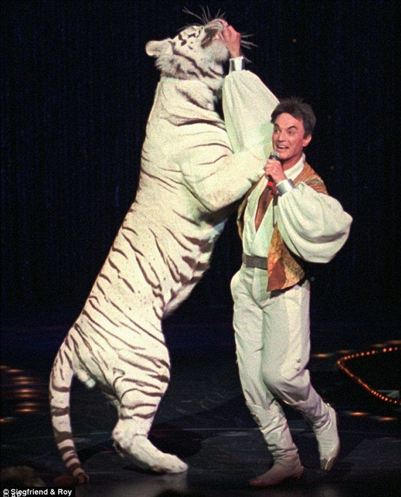 Foto sebelum tragedi