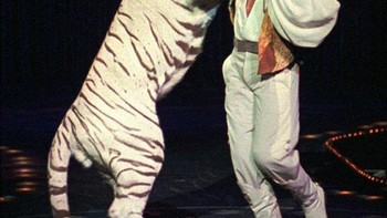 Fischbacher dan Roy menghentikan pertunjukan panggung sulap mereka setelah seekor harimau putih bernama Mantecore menyerang Horn selama pertunjukan tahun 2003, membuatnya lumpuh sebagian. Foto: Postoast