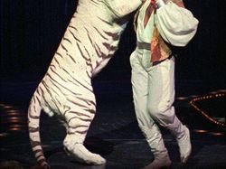 Foto yang Diambil Beberapa Detik Sebelum Tragedi Terjadi