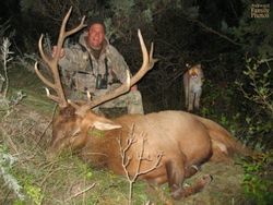 Foto yang Diambil Beberapa Detik Sebelum Tragedi Terjadi