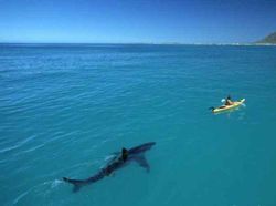 Foto yang Diambil Beberapa Detik Sebelum Tragedi Terjadi