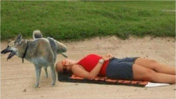 Turis perempuan yang tengah tiduran melepas penat memang terlepas dari tragedi yang membahayakan jiwa. Dia cuma menjadi korban menjijikkan akibat ulah anjing yang kencing ke arah wajahnya. Foto: Postoast