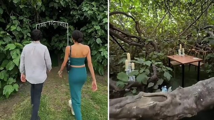 Keren! Restoran Ini Tersembunyi di Balik Pohon Ara Berusia 120 Tahun
