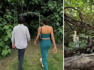 Keren! Restoran Ini Tersembunyi di Balik Pohon Ara Berusia 120 Tahun