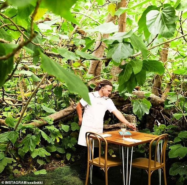 Dingin!  Restoran ini tersembunyi di balik pohon ara berusia 120 tahun