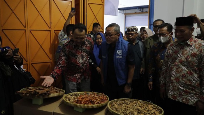 Komitmen Gencarkan Produk Herbal Indonesia ke Luar Negeri Menteri Perdagangan Zulkifli Hasan berkomitmen menggencarkan promosi produk herbal ke berbagai negara di dunia.