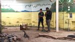 Potret Rumah Baru Komodo di San Francisco