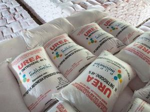 Cara Pupuk Indonesia Pastikan Distribusi Pupuk Subsidi Tepat Sasaran