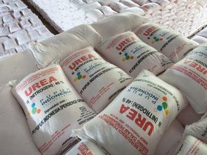 Cara Pupuk Indonesia Pastikan Distribusi Pupuk Subsidi Tepat Sasaran