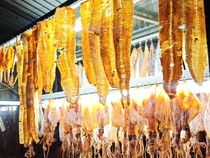 Jajan Sotong Pangkong Khas Pontianak, Bisa Bakar Sendiri