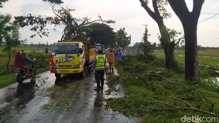 Hujan dan angin kencang tumabngkan 2 pohon dan rusak 6 rumah warga di Magetan