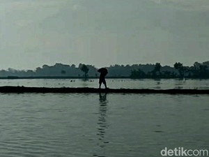 Terendam Banjir, Ratusan Hektare Bawang Merah di Brebes Gagal Panen