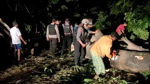 Polisi membuka jalan yang diblokir oleh warga Desa Sawe, Kecamatan Huu, Dompu, NTB. Pohon-pohon besar dipotong menggunakan mesin