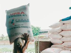 Bukan Langka, Ini yang Bikin Petani Nggak Dapat Pupuk Subsidi