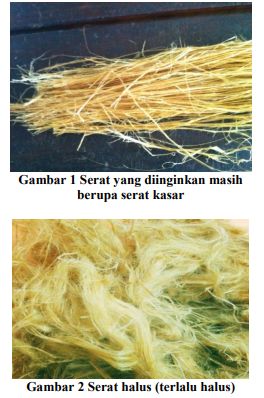 Serat bahan alam dari tumbuhan.