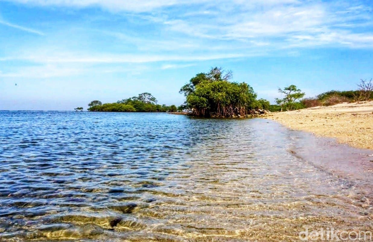 Si Rondo Baluran, Nama Pantai yang Tak Ada Hubungannya dengan Status