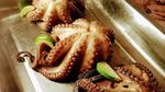 20 Sate Cumi dan Gurita Bakar Kenyal Gurih Ada di Sini!