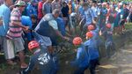 Potret Buaya 3 Meter Muncul di Selokan Warga Maros-Dievakuasi Damkar