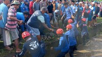 Buaya tersebut kini telah dibawa pergi dari lokasi. Buaya itu kemudian dilepaskan ke laut. Foto: Dokumen Istimewa