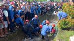 Potret Buaya 3 Meter Muncul di Selokan Warga Maros-Dievakuasi Damkar