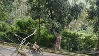 Petugas PLN masih mendata aset jaringan yang terdampak. Tampak tiang listrik yang roboh di dekat jalan raya.Foto: Dok. PLN UP 3 Cianjur-Jawa Barat