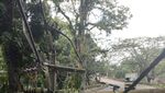 Penampakan Tiang Listrik Roboh Imbas Gempa di Cianjur
