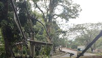 Gempa berkekuatan magnitudo 5,6 mengguncang Cianjur, Jawa Barat. Akibatnya, sejumlah infrastruktur rusak, salah satunya tiang listrik roboh. Foto: Dok. PLN UP 3 Cianjur-Jawa Barat