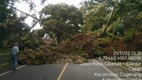 Pohon tumbang sempat menutupi jalan. Foto: Gempa Cianjur/Dok Kementerian PUPR