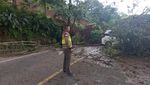 Penampakan Pohon Tumbang-Jalan Retak Diguncang Gempa Cianjur