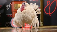 Jika dirunut dari sejarahnya, kegiatan pengampunan kalkun oleh Presiden AS ini telah dilakukan sejak sejumlah presiden di era sebelumnya kerap mendapatkan hadiah berupa kalkun menjelang perayaan Hari Thanksgiving. Presiden AS mulai dari Abraham Lincoln hingga John F Kennedy disebut pernah mendapat hadiah berupa kalkun dan kemudian memutuskan untuk memelihara unggas tersebut dibandingkan menyembelihnya dan dijadikan santapan di perayaan Hari Thanksgiving.  