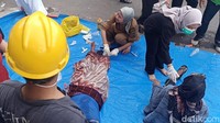 Sekadar diketahui, pasca gempa bumi berkekuatan 5,6 magnitudo pada Senin (21/11) siang pukul 13.21 Wib, jaringan listrik di Cianjur mati total. Bahkan hingga pukul 19.12 WIB, jaringan listrik masih padam.
