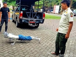 Bandel! Manusia Silver yang Masih Mengamen di Banyuwangi Dipulangkan