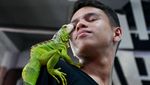 Mengunjungi Pameran Hewan Peliharaan di Pusat Perbelanjaan Aceh