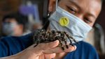 Mengunjungi Pameran Hewan Peliharaan di Pusat Perbelanjaan Aceh