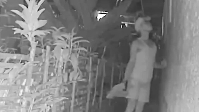 Penampakan remaja terekam CCTV saat mengintip wanita ke dalam rumah warga di Kutai Barat, Kaltim.
