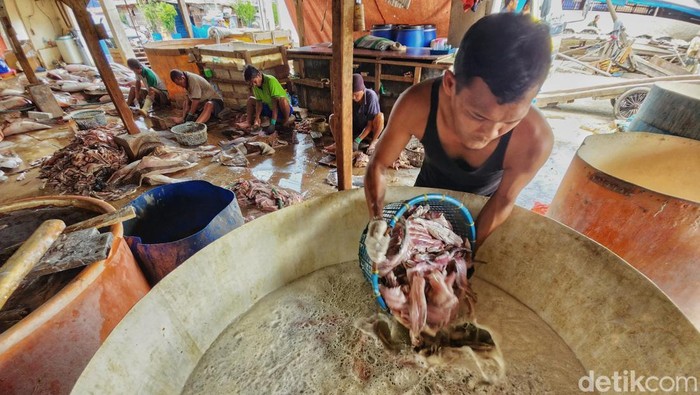 Pekerja beraktivitas dalam proses produksi olahan ikan asin di Muara Angke, Jakarta, Senin (21/11/2022). Perajin ikan asin mengaku produksi yang menggantungkan pada panas matahari sangat terdampak pada musim penghujan.