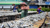 Ikan asin tersebut dipasarkan ke sejumlah daerah. 