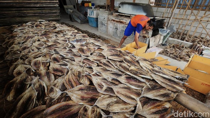 Pekerja beraktivitas dalam proses produksi olahan ikan asin di Muara Angke, Jakarta, Senin (21/11/2022). Perajin ikan asin mengaku produksi yang menggantungkan pada panas matahari sangat terdampak pada musim penghujan.