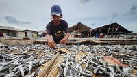 Ikan asin dijual mulai dari Rp 30.000/kg tergantung jenis ikan. 