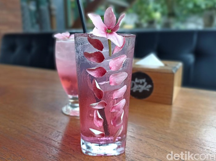 sakura blossom