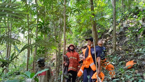 Tim Damkartan Karangasem berupaya mengevakuasi lebah hutan di Desa Bukit Karangasem tapi kesulitan.