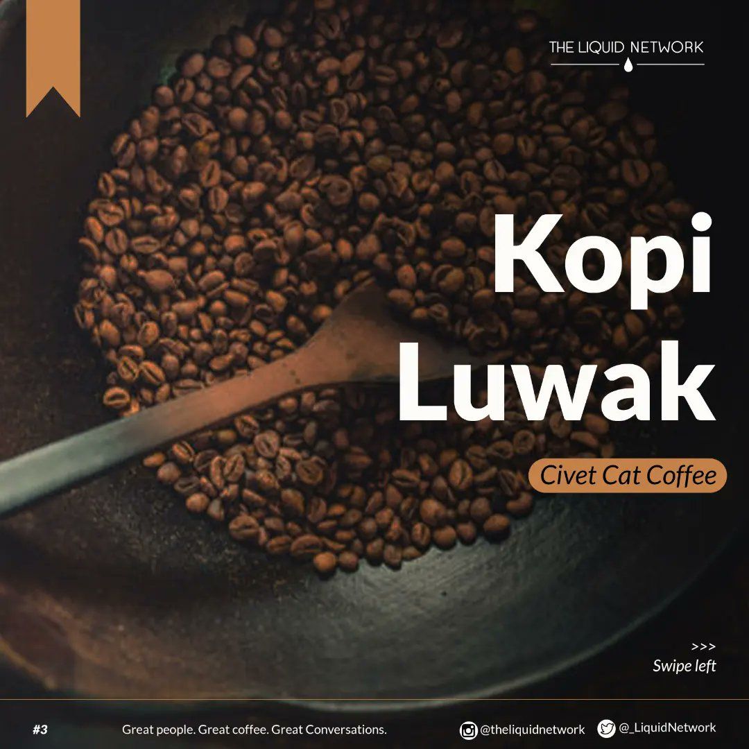 5 Kopi Termahal di Dunia, Harganya Capai Rp 2,3 Juta Secangkir!