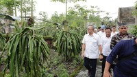 Hal ini ditegaskan Mendag Zulkifli Hasan saat berdialog dengan Paguyuban Petani Buah Naga (Panaba) di Kabupaten Banyuwangi, Jawa Timur pada hari ini, Selasa (22/11). Turut mendampingi Mendag Zulkifli Hasan, Direktur Jenderal Perlindungan Konsumen dan Tertib Niaga Veri Anggrijono. 