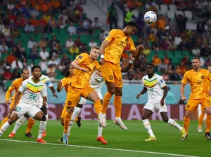 Prediksi Skor Belanda Vs Qatar: De Oranje Cetak 3 Gol