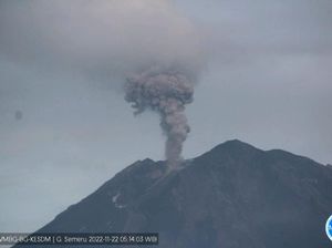 Gunung Semeru Erupsi, Lontarkan Abu 600 Meter dari Puncak Kawah