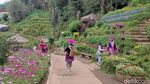 Begini Rupa Desa Wisata yang Ada di Ujung Utara Thailand, Jualannya Jujur