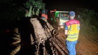 Juru Bicara Kementerian Pekerjaan Umum dan Perumahan Rakyat (PUPR), Endra Atmawidjaja, menyampaikan pesan dari Basuki. Katanya, siang atau sore ini harapannya tanah longsor sudah berhasil dibersihkan dari badan jalan dan ruas jalan Cianjur-Cipanas bisa terbuka kembali.