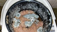 Meninggalkan rice cooker dalam keadaan kosong, kamar kos ini diserang bau busuk dan jamur. Bubur yang dimasak sudah membusuk hingga ditumbuhi jamur di setiap sudutnya. Foto: Bored Panda